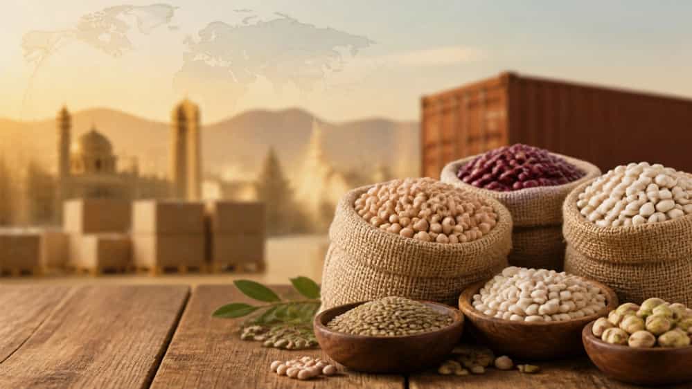 بهترین مرکز صادرات حبوبات و لوبیا و نخود در شیراز